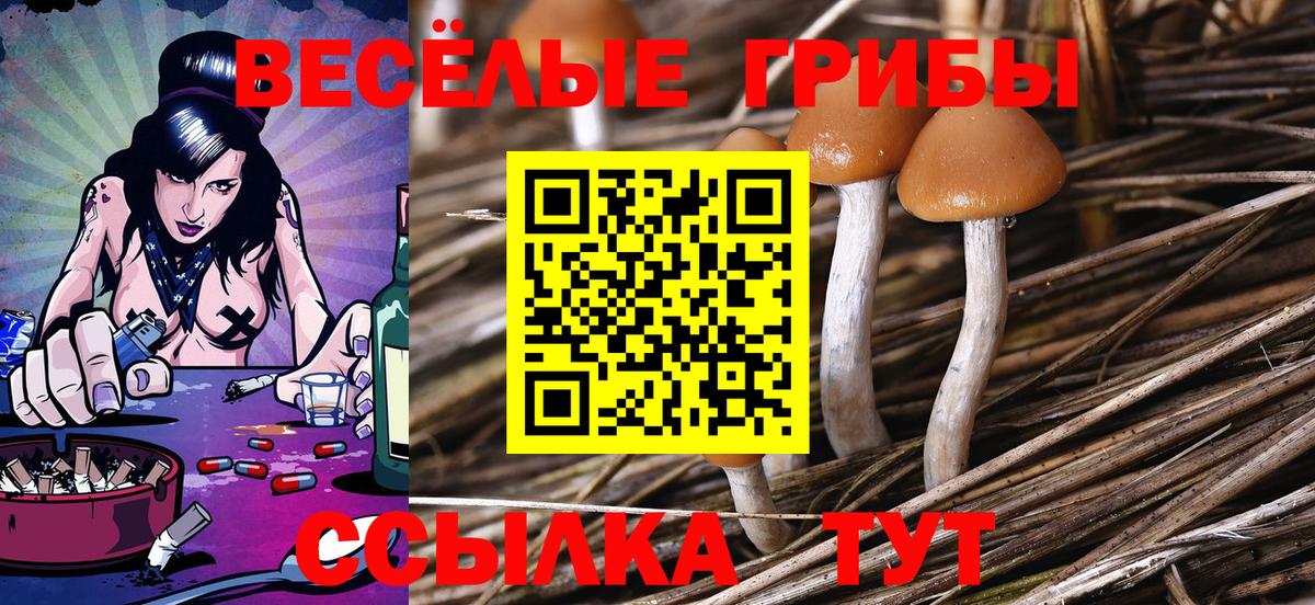 Псилоцибиновые грибы MAGIC MUSHROOMS Елец